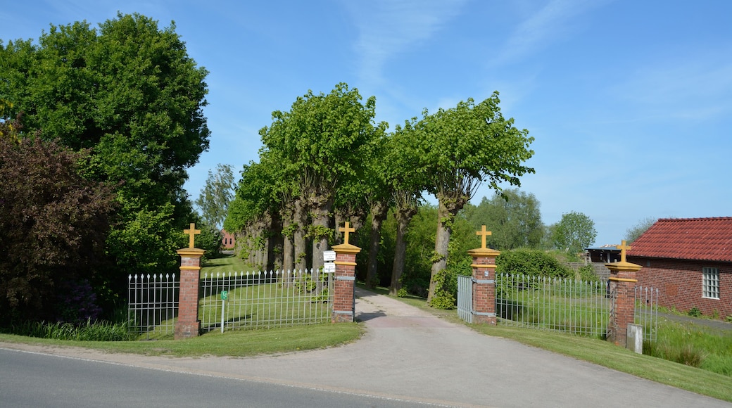 Naturdenkmal im Kreis Pinneberg 40 Sommerlinden, Haseldorf, Kopflinden-Allee, Zufahrt zum Friedhof Scholenfleht