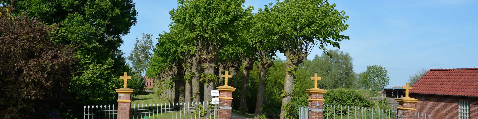 Naturdenkmal im Kreis Pinneberg 40 Sommerlinden, Haseldorf, Kopflinden-Allee, Zufahrt zum Friedhof Scholenfleht