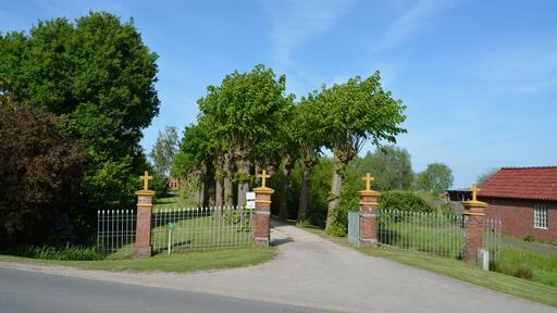 Naturdenkmal im Kreis Pinneberg 40 Sommerlinden, Haseldorf, Kopflinden-Allee, Zufahrt zum Friedhof Scholenfleht