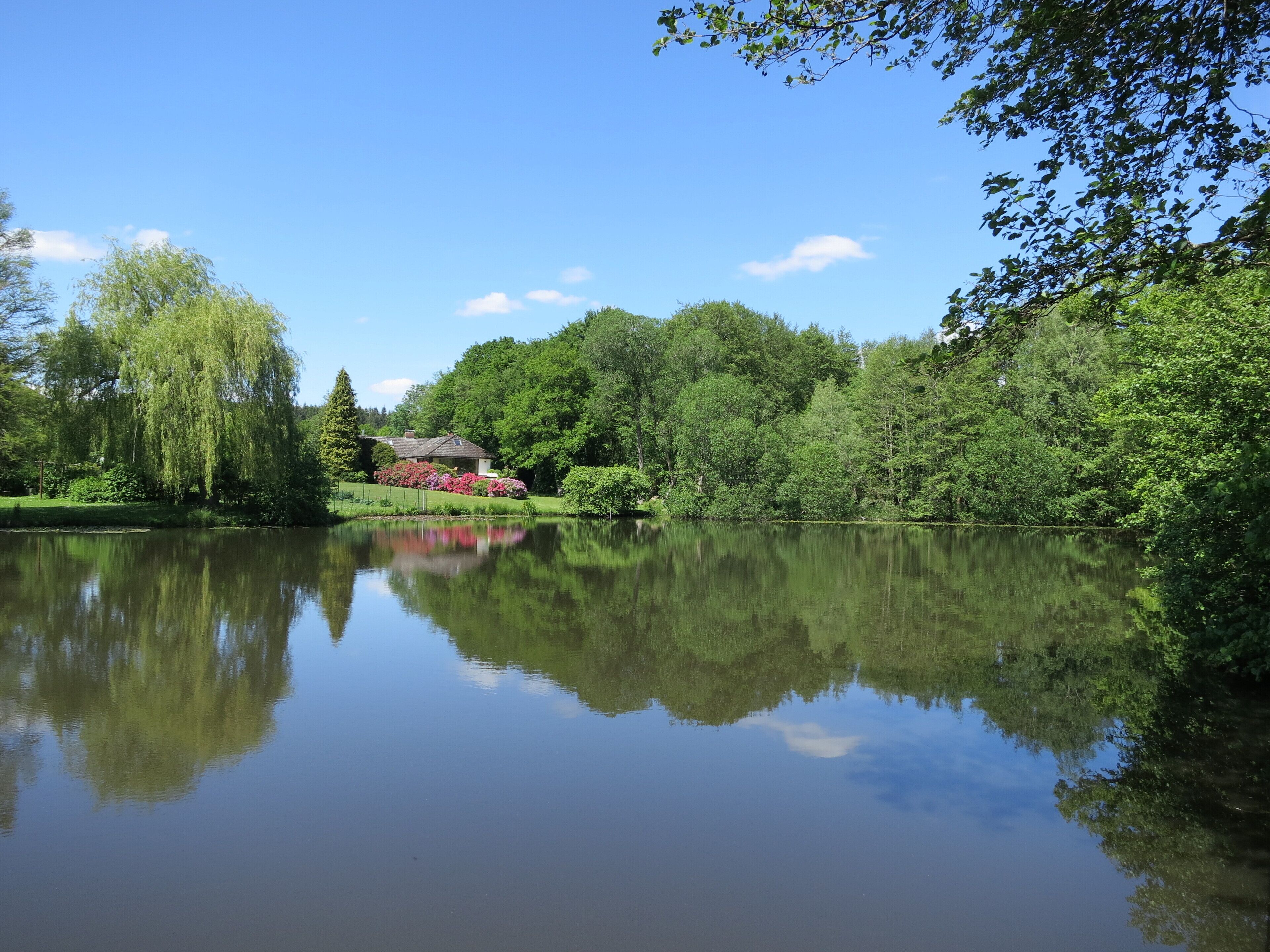 Der Badeteich in Heiligenstedten-Julianka am Ende der Straße "Waldweg" vom Steg aus gesehen