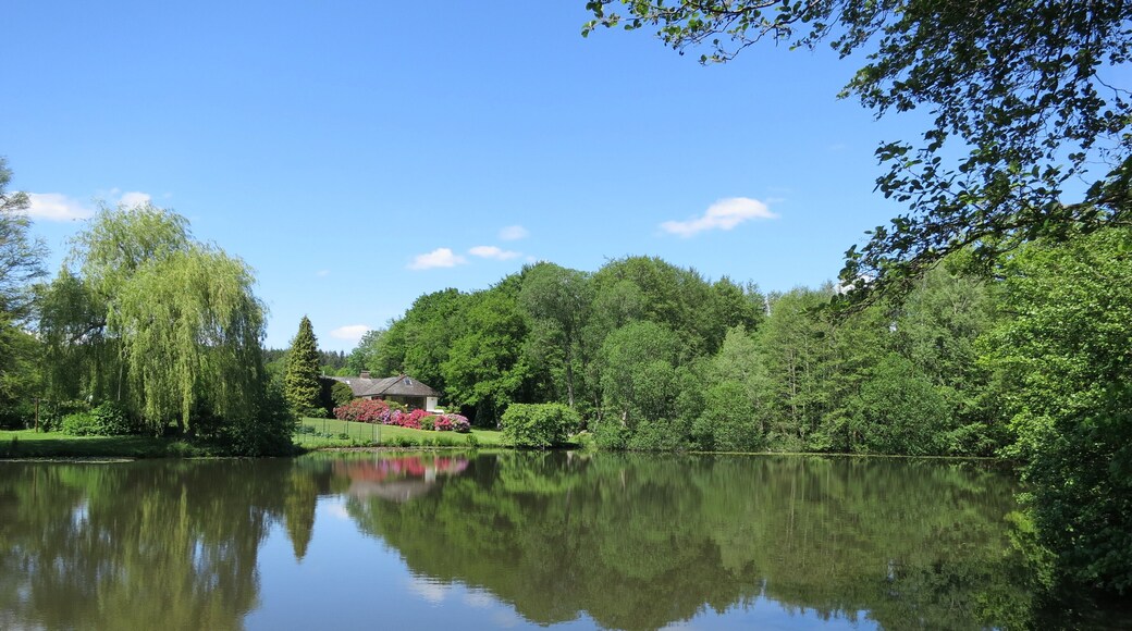 Der Badeteich in Heiligenstedten-Julianka am Ende der Straße "Waldweg" vom Steg aus gesehen