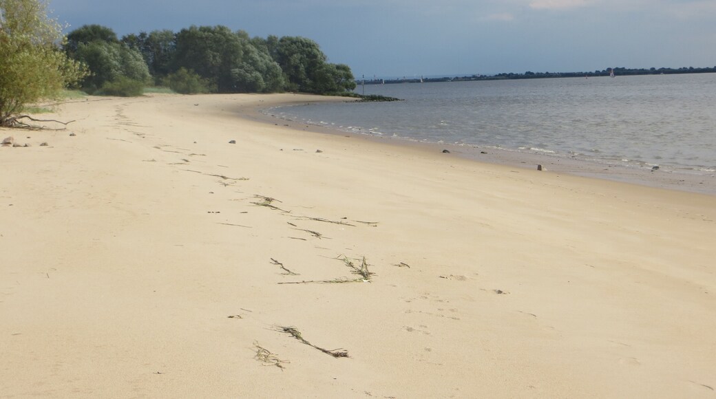 Elbstand bei Hetlingen (Schleswig-Holstein) nahe des Strommastes nach Staade, Niedersachsen