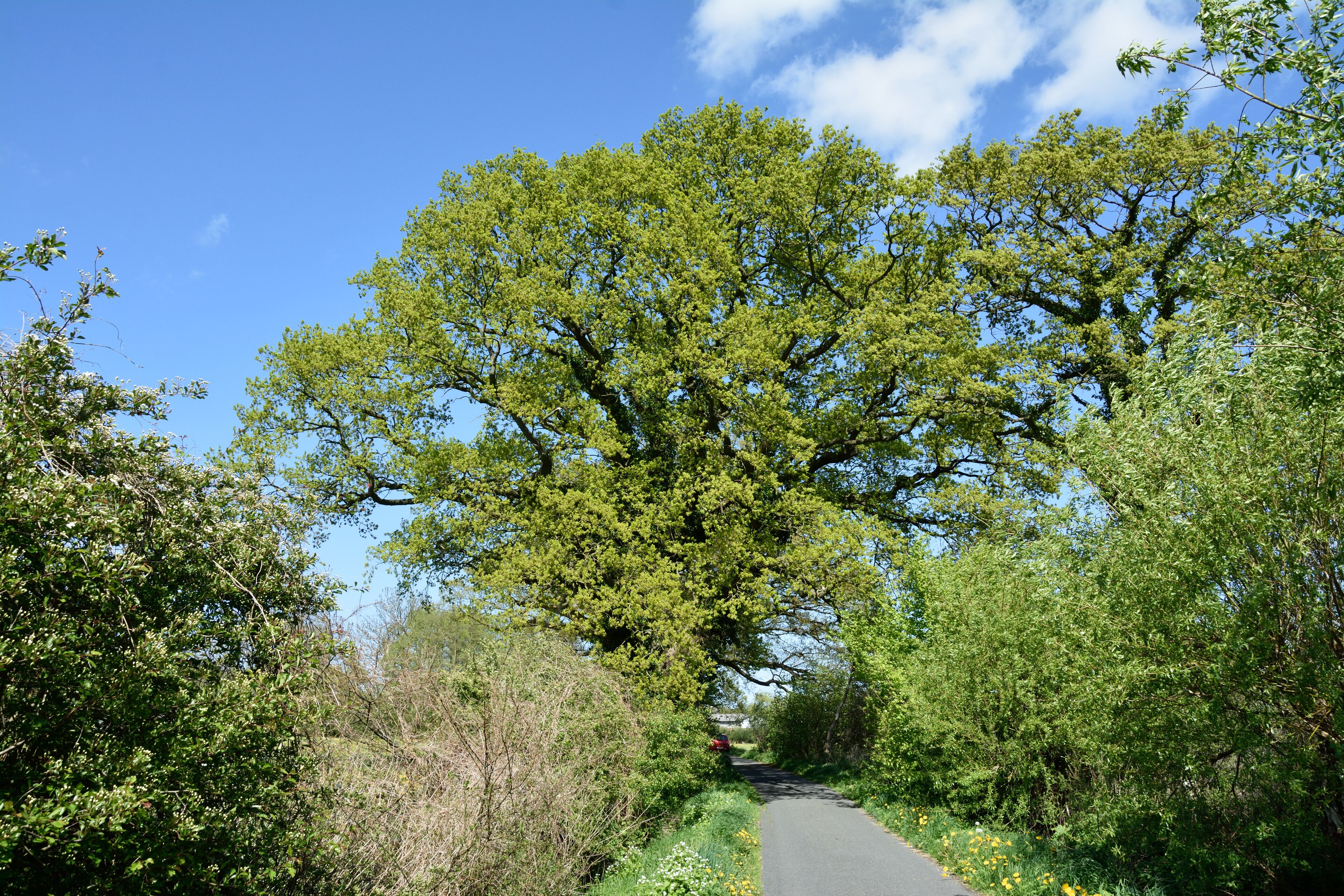 This image was uploaded as part of Wiki Loves Earth 2015.