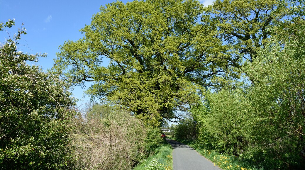 This image was uploaded as part of Wiki Loves Earth 2015.