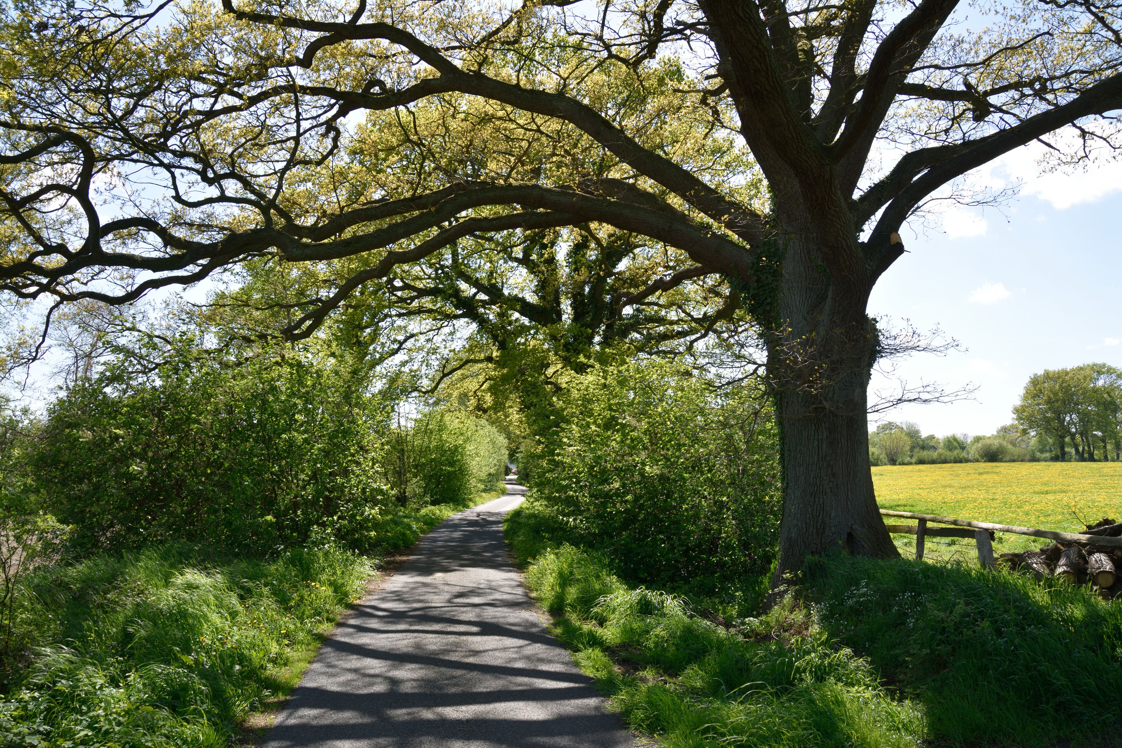 This image was uploaded as part of Wiki Loves Earth 2015.