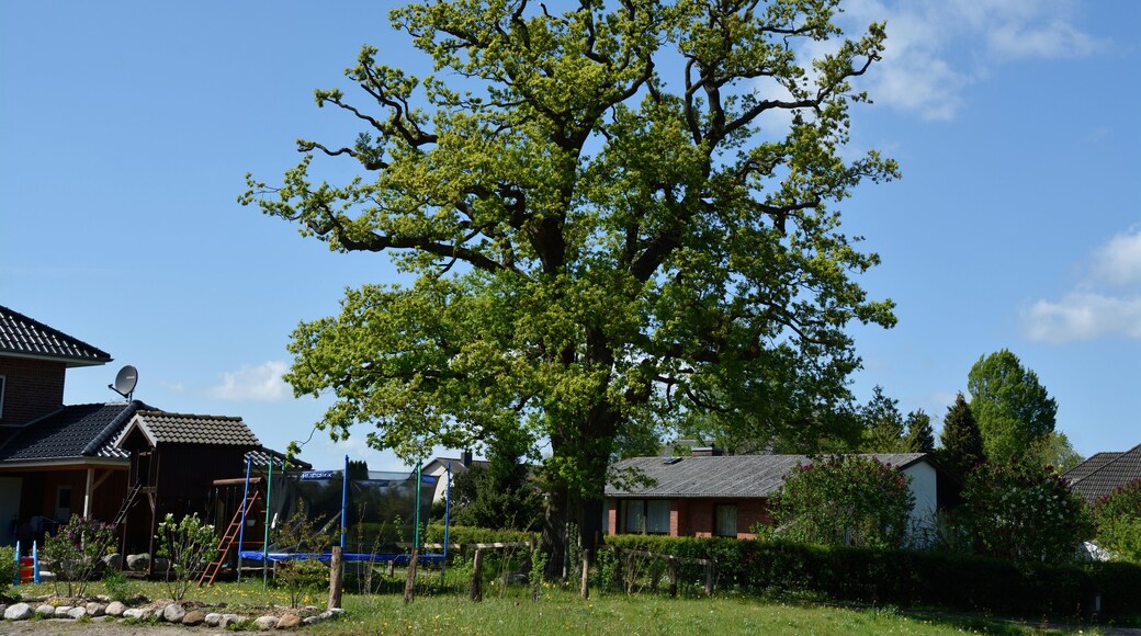 This image was uploaded as part of Wiki Loves Earth 2015.