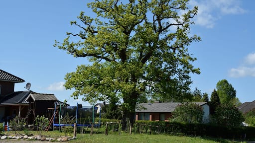 This image was uploaded as part of Wiki Loves Earth 2015.