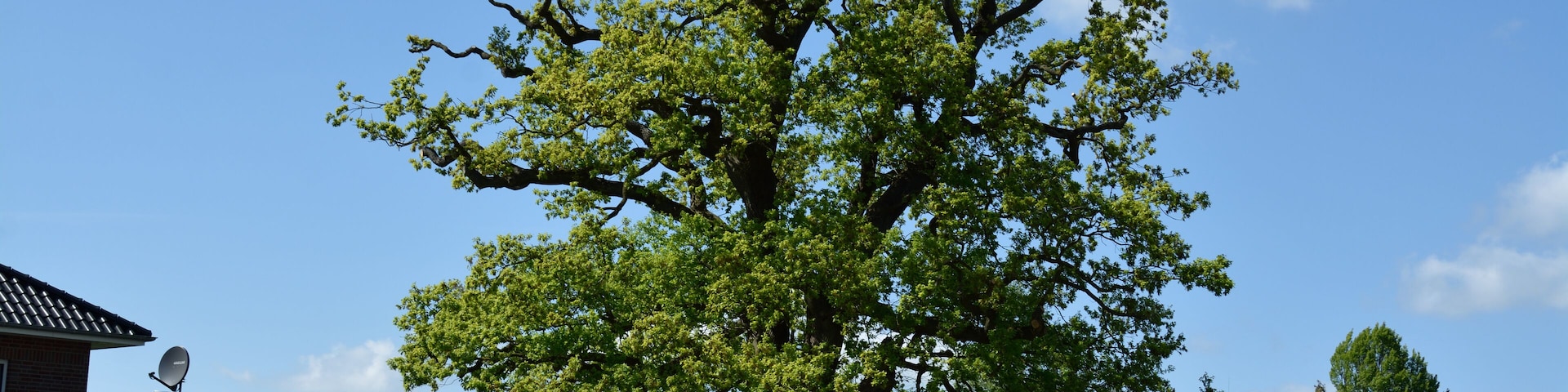 This image was uploaded as part of Wiki Loves Earth 2015.