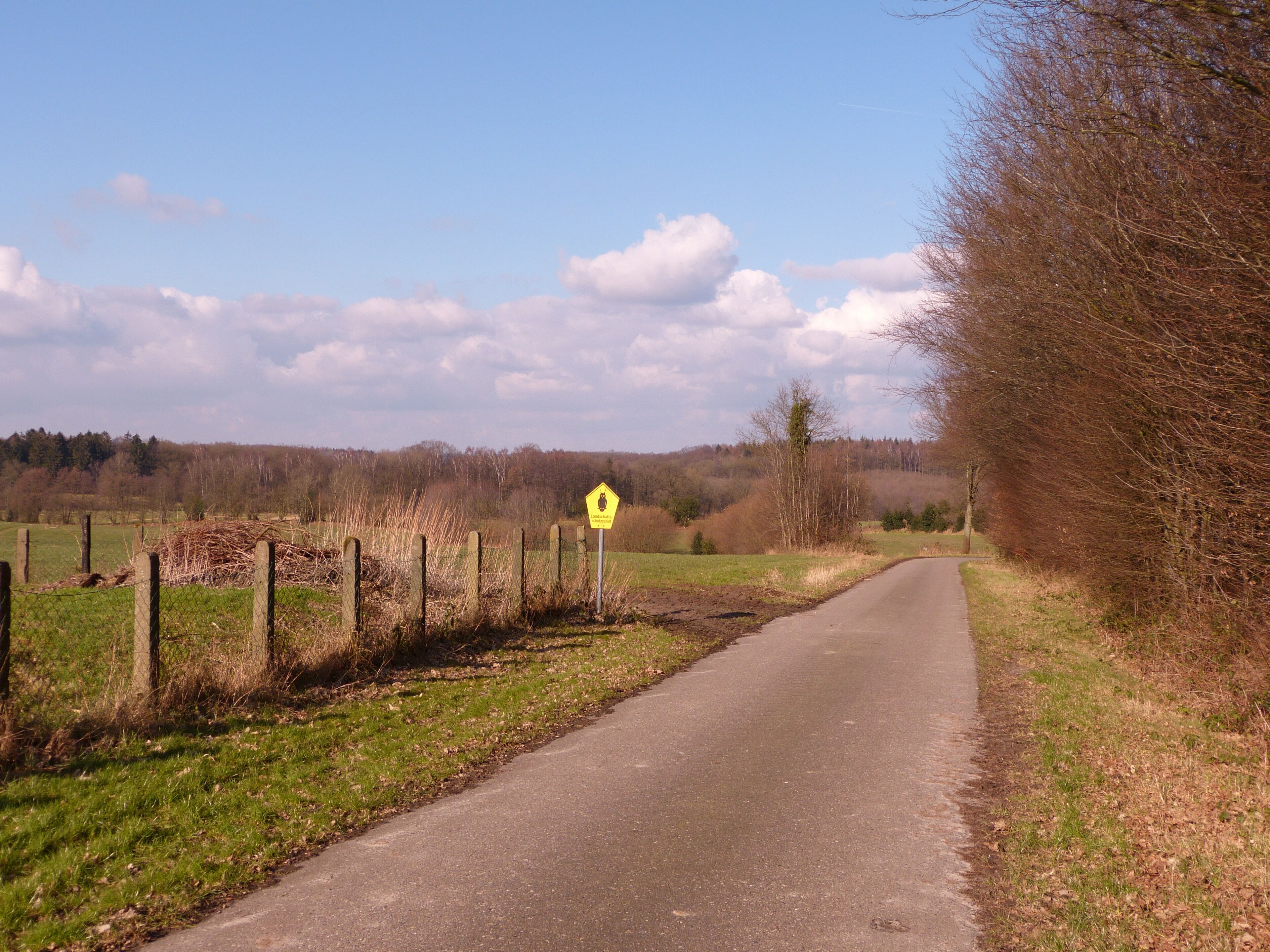 A rural road with a yellow warning sign, surrounded by fields and trees.