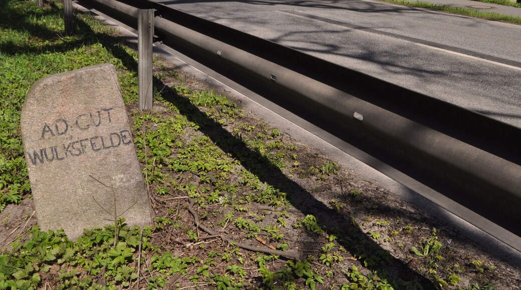 Lage der Grenzstein an der Bundesstraße 432 an der heutigen Grenze der Kreise Stormarn und Segeberg.