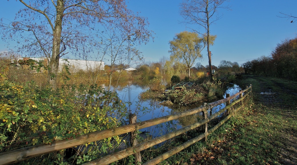 Kisdorf, Germany: The storm water bassin at the river Krambekby the Henstedter Straße