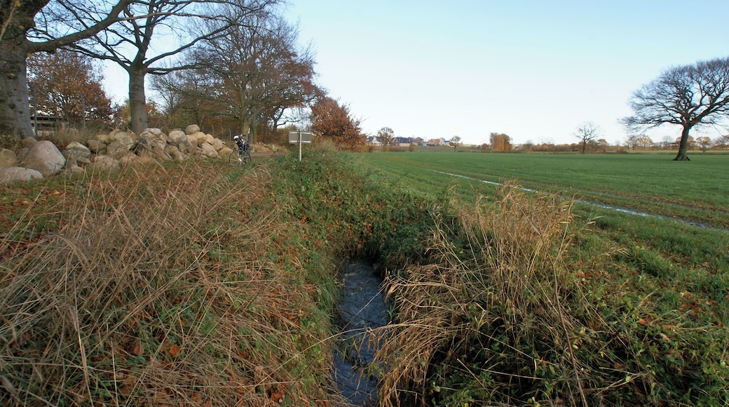 Kisdorf, Germany: Spring of the Krambek