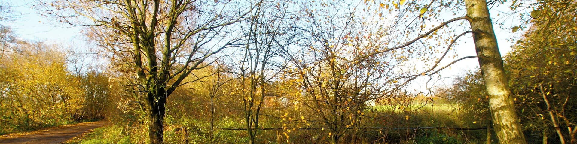 Kisdorf, Germany: The marsh where the river Wischbek springs