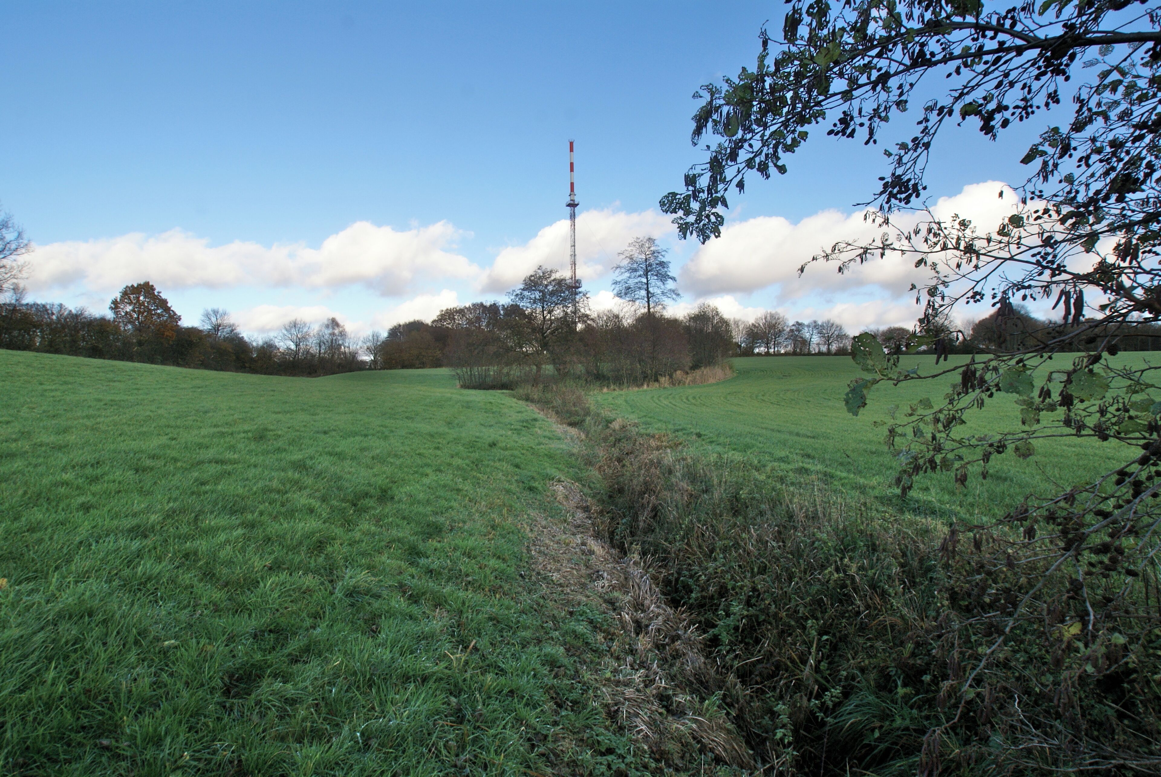 Kisdorf, Germany: The riverWischbek close to its spring