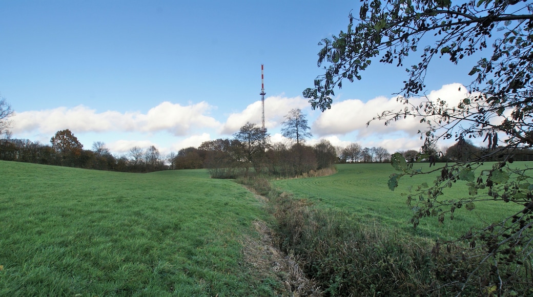 Kisdorf, Germany: The riverWischbek close to its spring