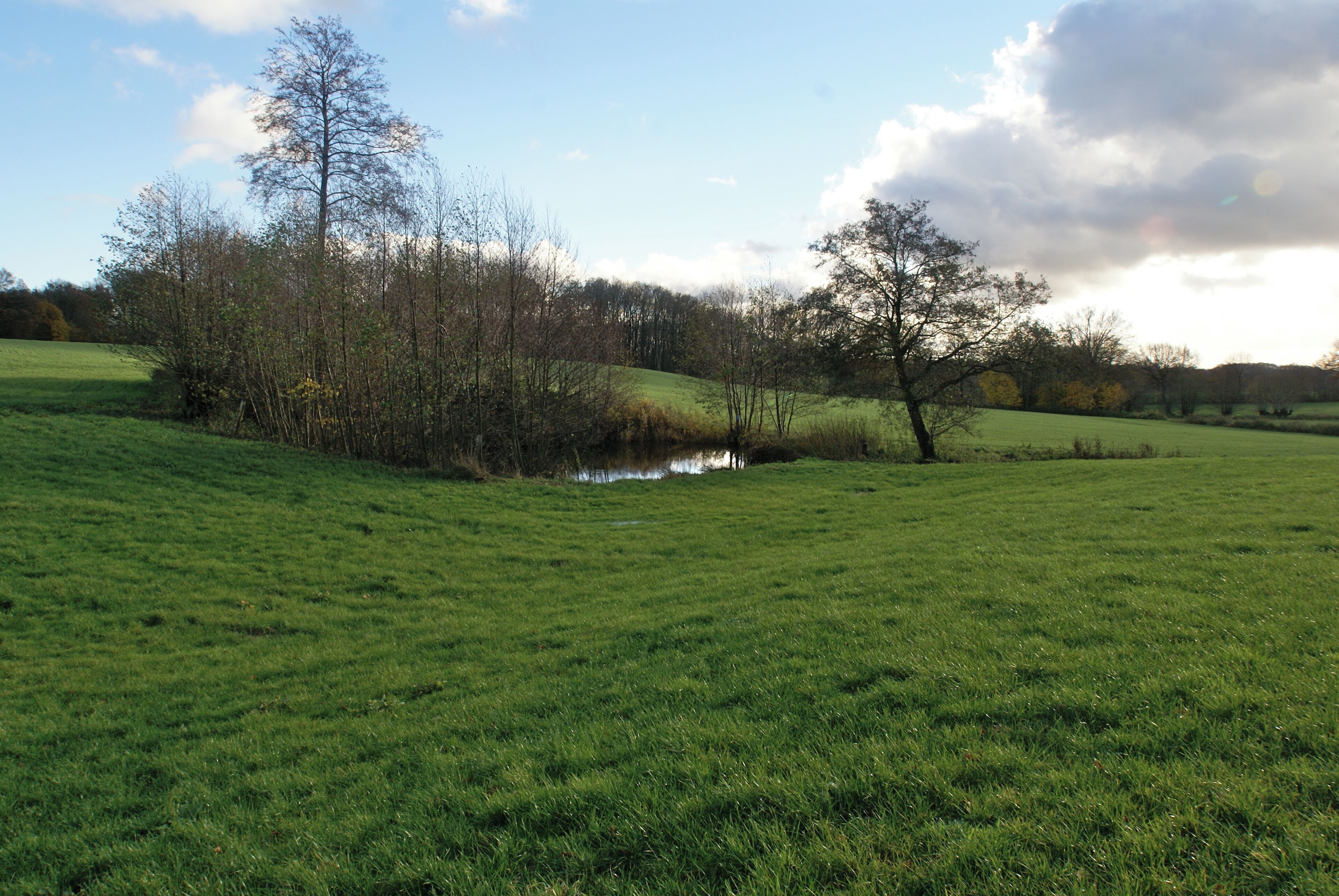 Kisdorf, Germany: Little pond down from the spring of the river Wischbek