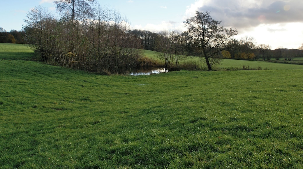 Kisdorf, Germany: Little pond down from the spring of the river Wischbek