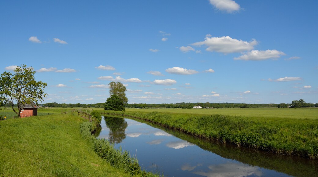 Die Bekau in Krummendiek