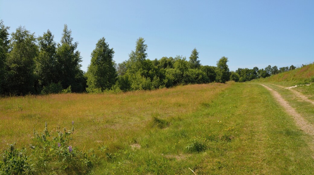 Die Tongrube Muldsberg ist ein ehemaliger Tagebau der Breitenburger Portland-Cement-Fabrik (heute Holcim) in der Gemeinde Mehlbek. Die Grube füllt sich allmählich mit Grundwasser, es entsteht ein künstlicher See. Ein Rundweg von ca. fünf Kilometer Länge führt rund um den See. Am Rundweg