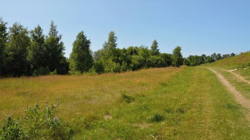 Die Tongrube Muldsberg ist ein ehemaliger Tagebau der Breitenburger Portland-Cement-Fabrik (heute Holcim) in der Gemeinde Mehlbek. Die Grube füllt sich allmählich mit Grundwasser, es entsteht ein künstlicher See. Ein Rundweg von ca. fünf Kilometer Länge führt rund um den See. Am Rundweg