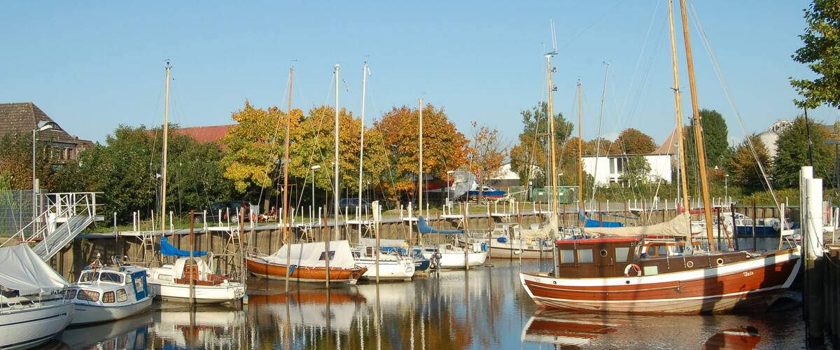 A marina with several boats docked, surrounded by trees and buildings.