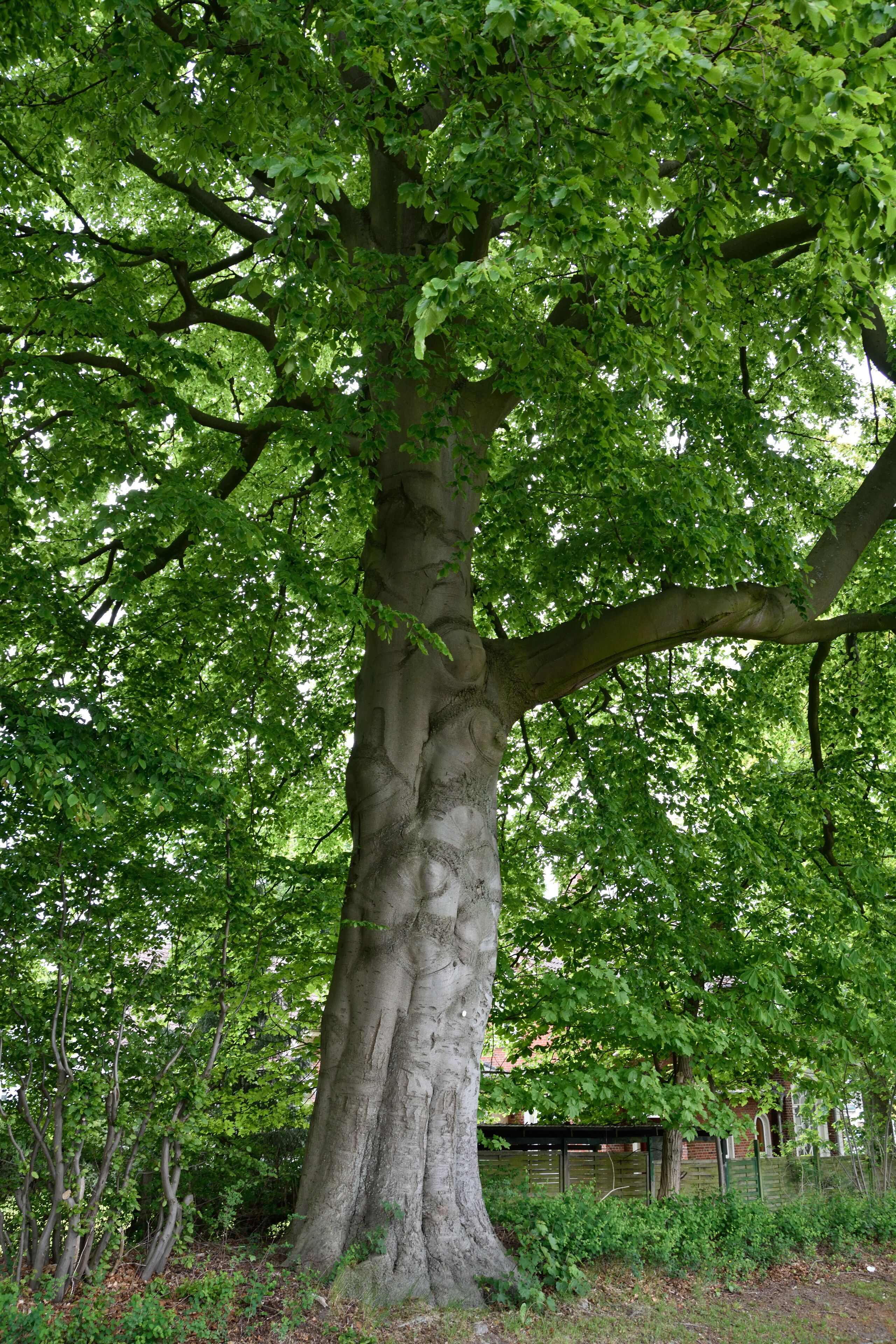 This image was uploaded as part of Wiki Loves Earth 2015.