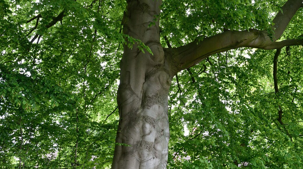 This image was uploaded as part of Wiki Loves Earth 2015.