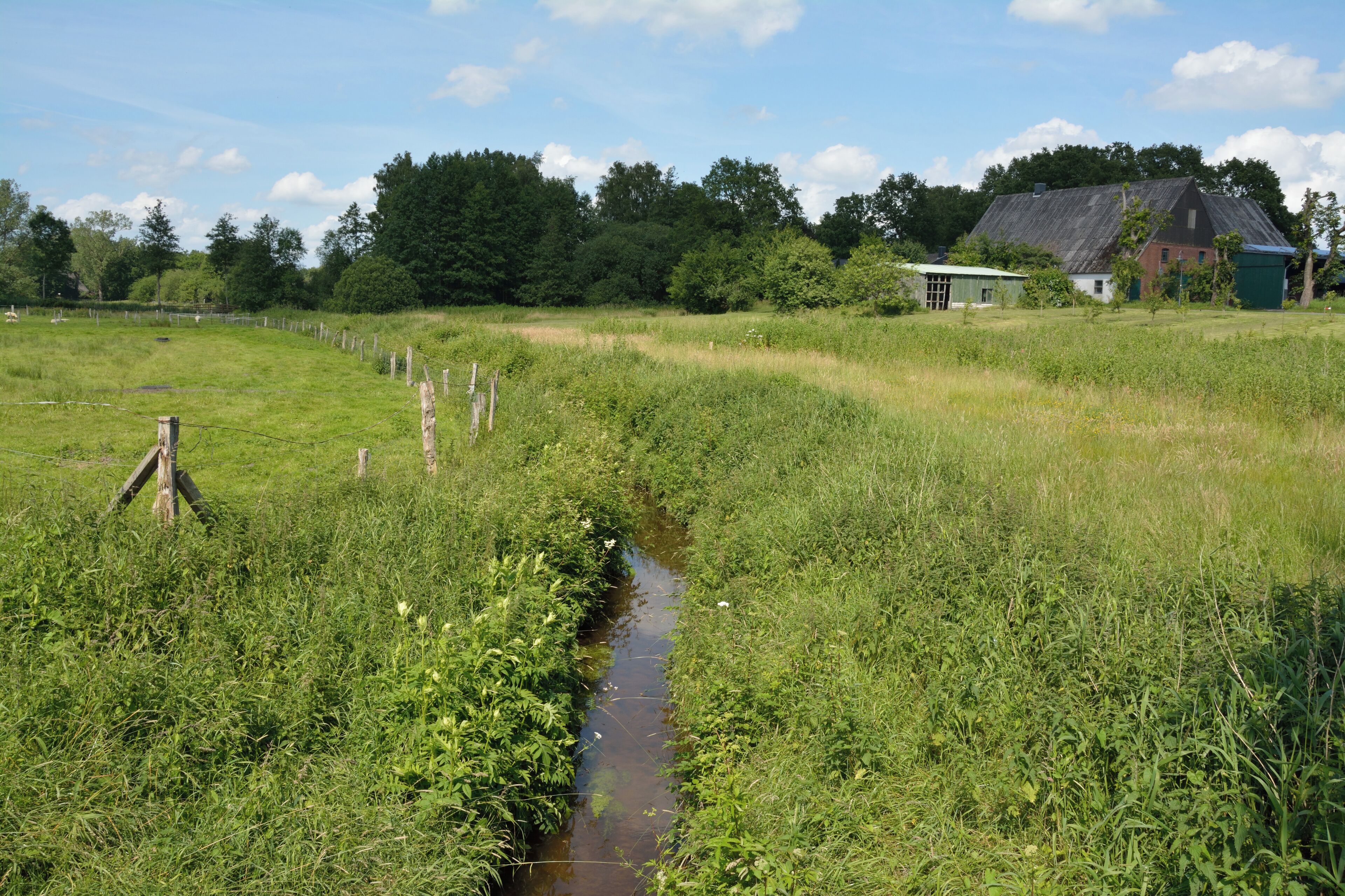 The Nuttelner Bach in Nutteln, an indirect tributary of the Holstenau via the Otterkrugsbach