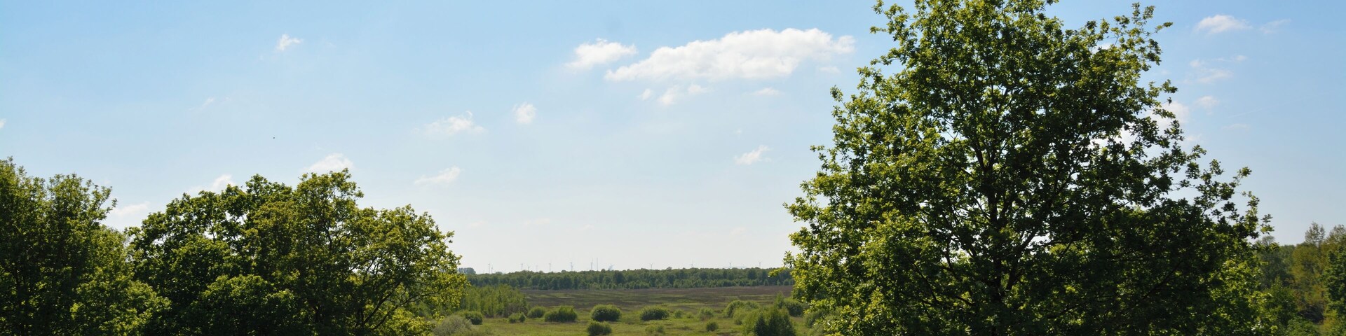 Impressionen aus dem Naturschutzgebiet "Herrenmoor bei Kleve"