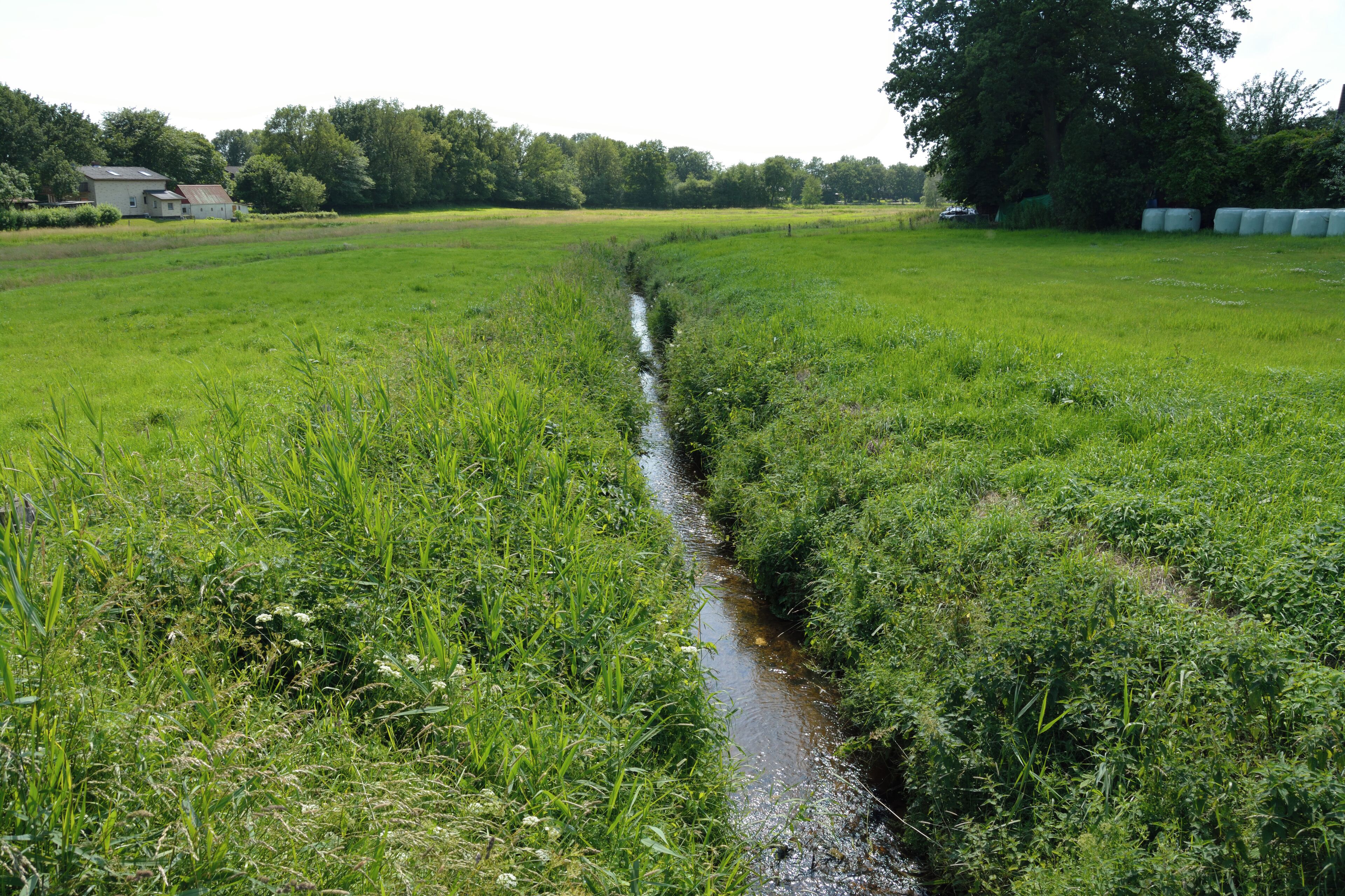 The Nuttelner Bach in Nutteln, an indirect tributary of the Holstenau via the Otterkrugsbach