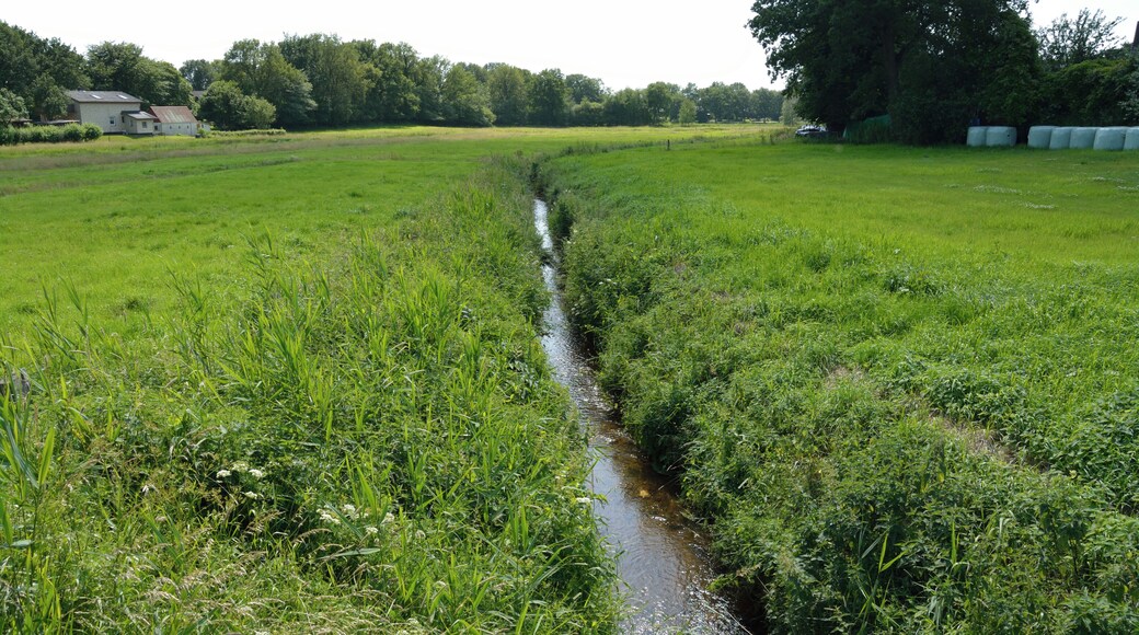 The Nuttelner Bach in Nutteln, an indirect tributary of the Holstenau via the Otterkrugsbach