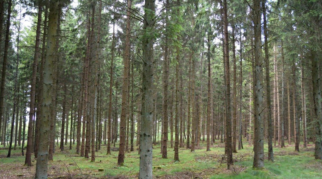 This image was uploaded as part of Wiki Loves Earth 2014.