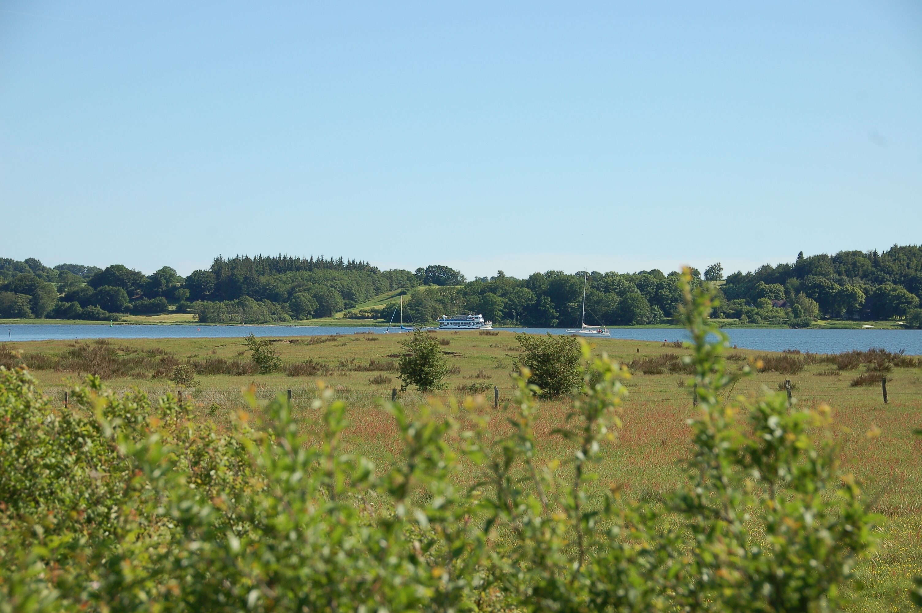 Schlei aus NSG Reesholm