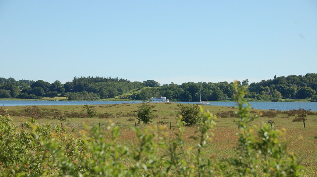 Schlei aus NSG Reesholm