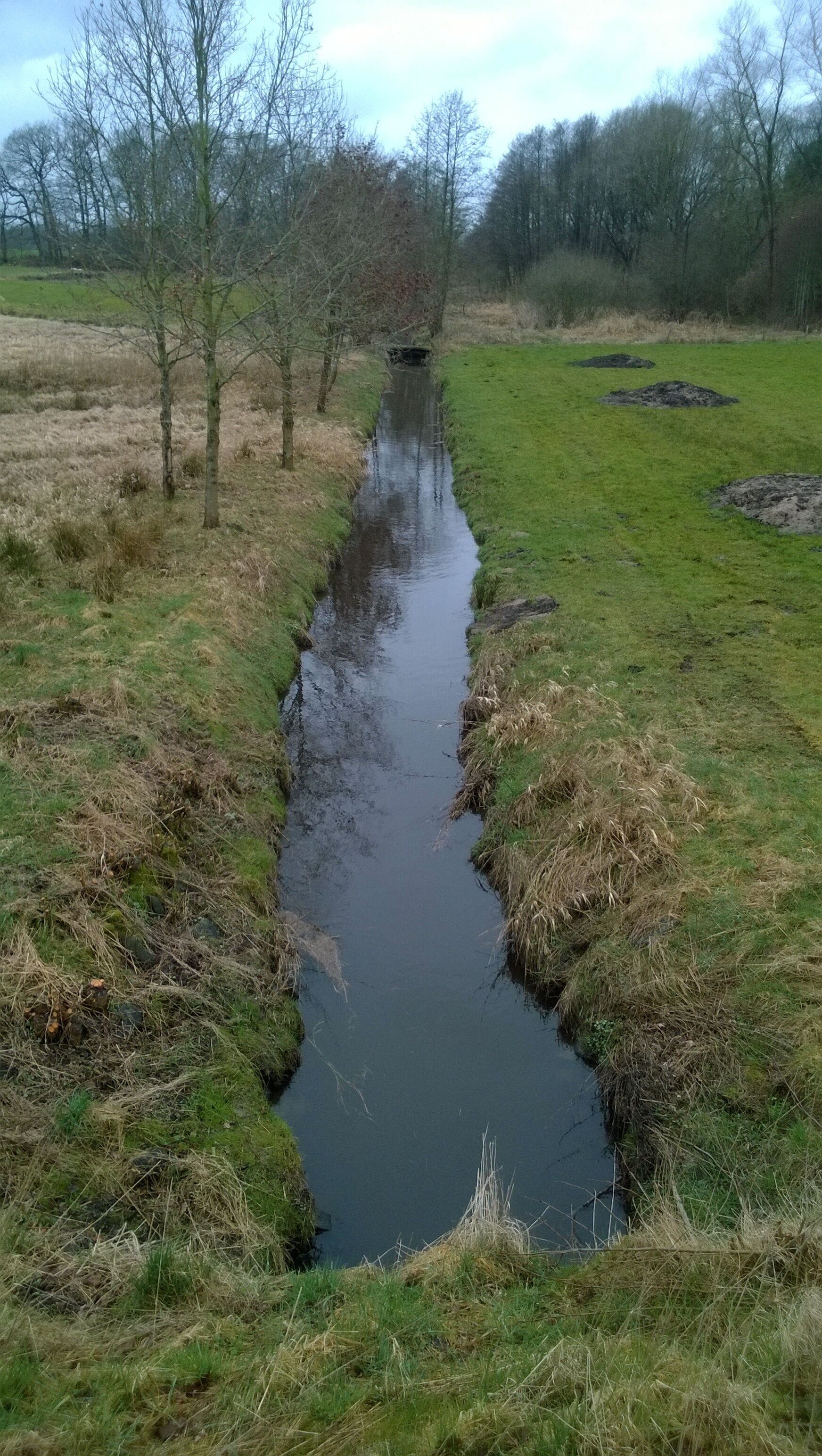Der Schlotfelder Graben westlich der Dorfstraße (Blickrichtung entgegen Fließrichtung)