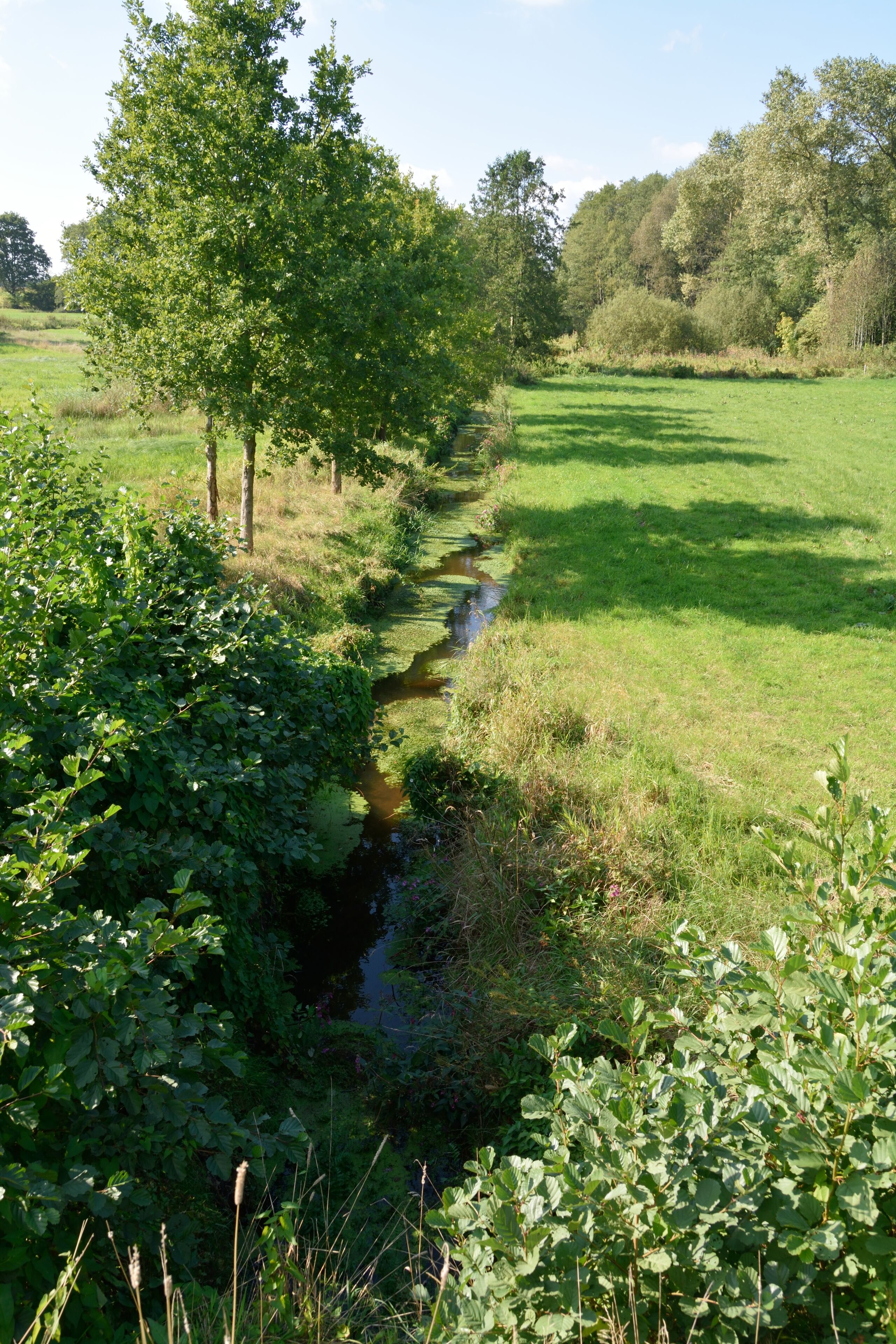 Impressionen aus Schlotfeld