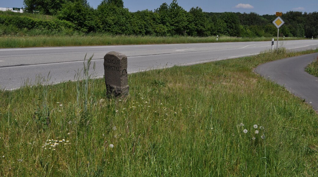 'Lage des Grenzsteins der ehemaligen Grenze des Adeligen Guts Borstel zum Amt Tremsbüttel an der heutigen Grenze der Gemeinden Sülfeld und Itzstedt an der Bundesstraße 432.