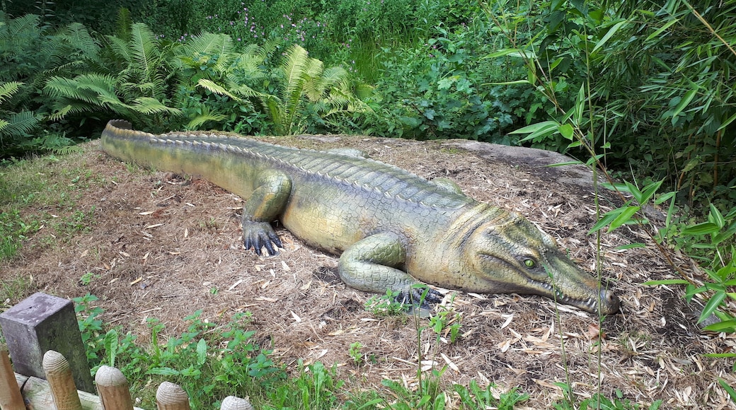 Nachbildung eines Alligatoren in der Tolk Schau