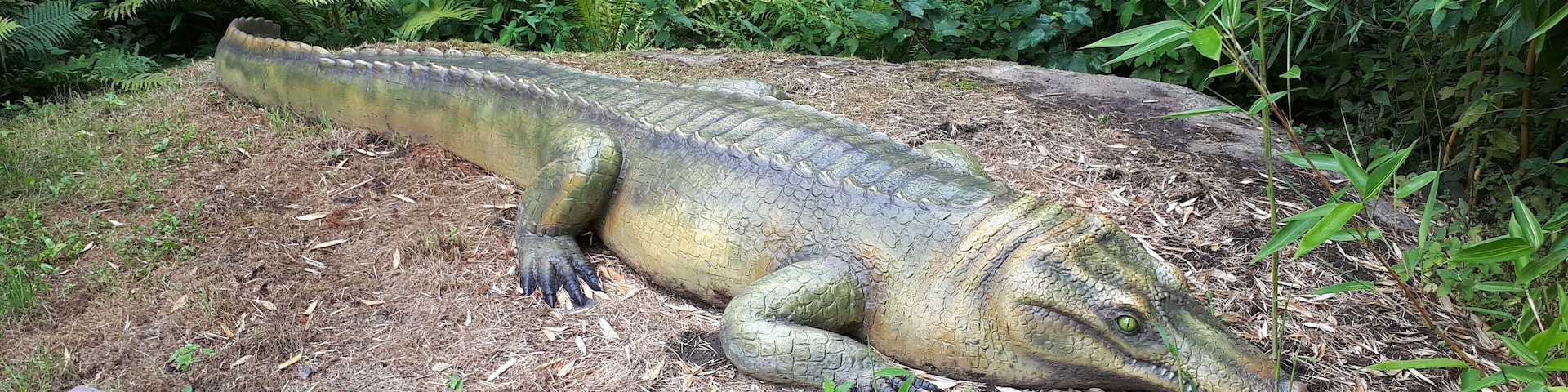 Nachbildung eines Alligatoren in der Tolk Schau