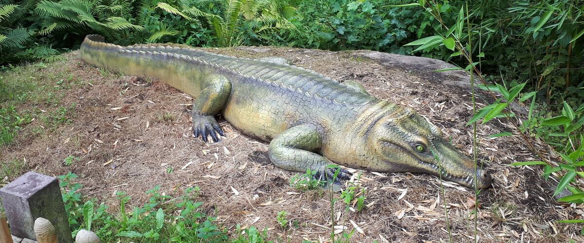A large alligator sculpture in a garden with dense foliage and a wooden fence.