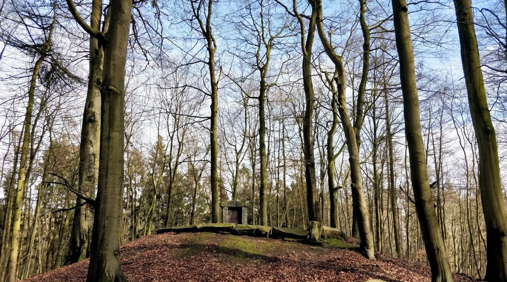 Ehrendenkmal Kühren