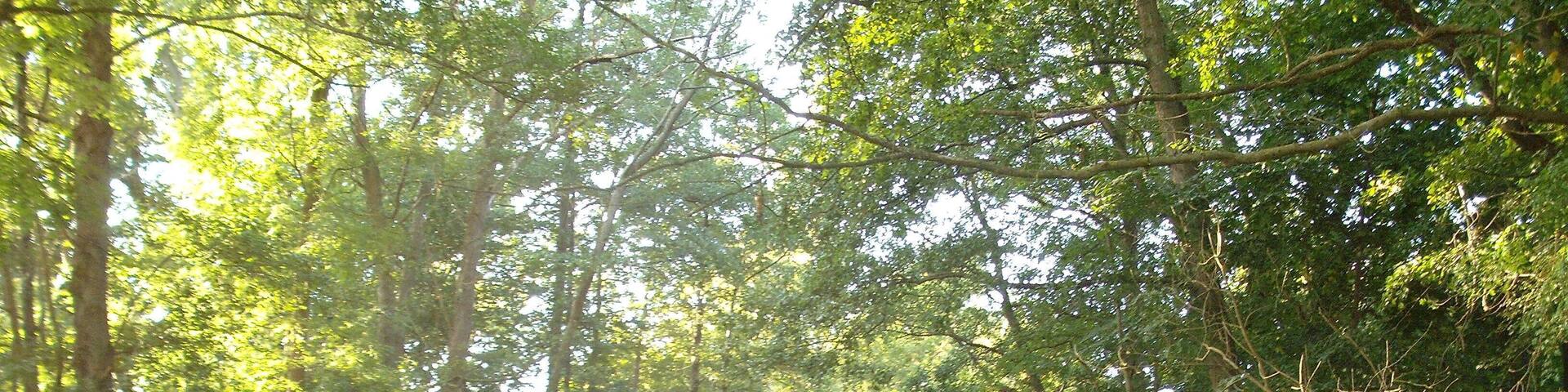 Schwentine Wahlstorf