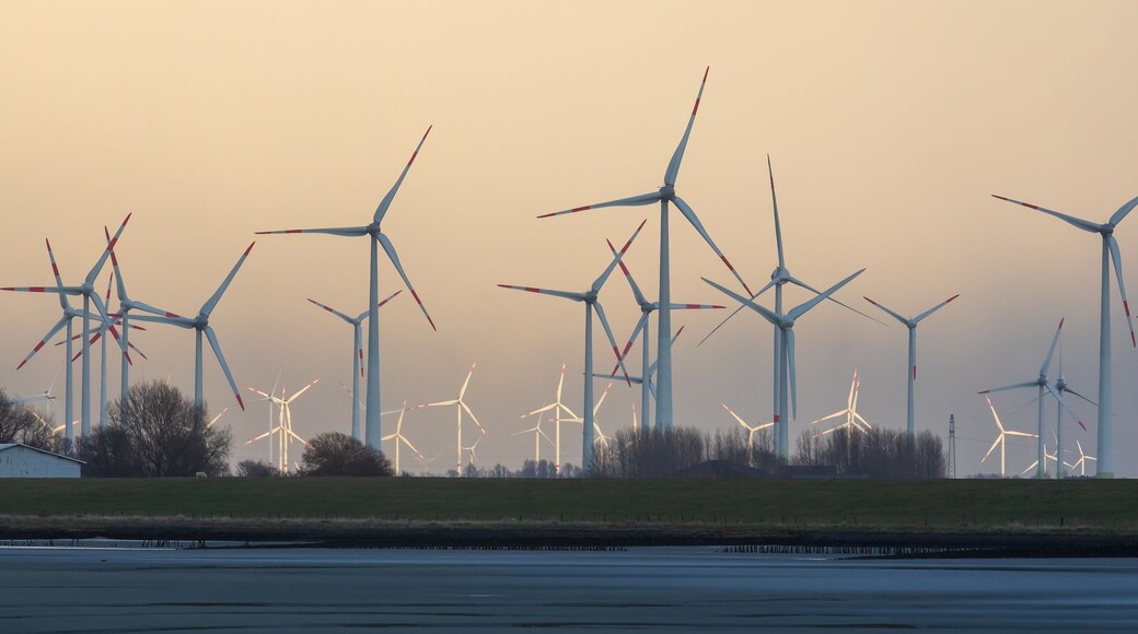 فيسلبورينركوج