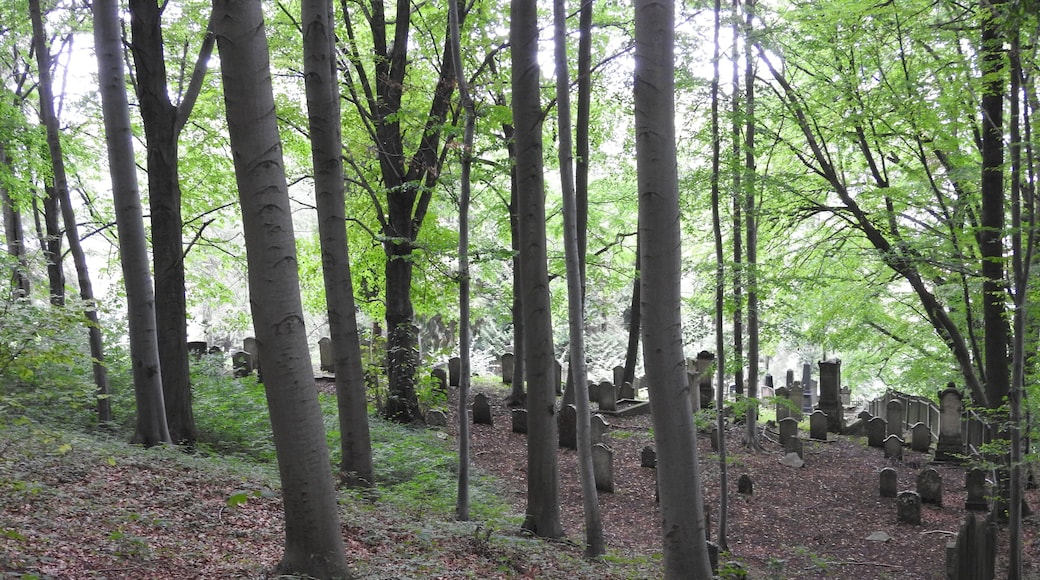 Jüdischer Friedhof in Bleicherode, Thüringen