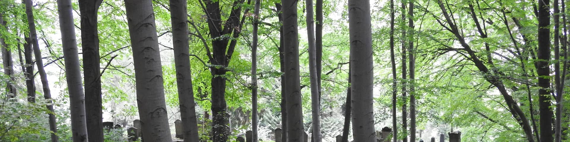 JĂŒdischer Friedhof in Bleicherode, ThĂŒringen