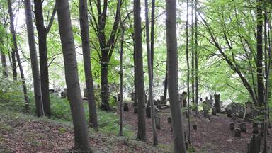 Jüdischer Friedhof in Bleicherode, Thüringen