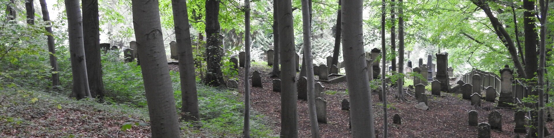 Jüdischer Friedhof in Bleicherode, Thüringen