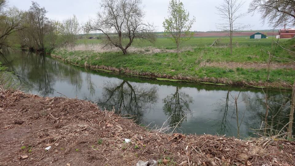 A calm river with reflections of trees, a grassy bank, and a distant green building.