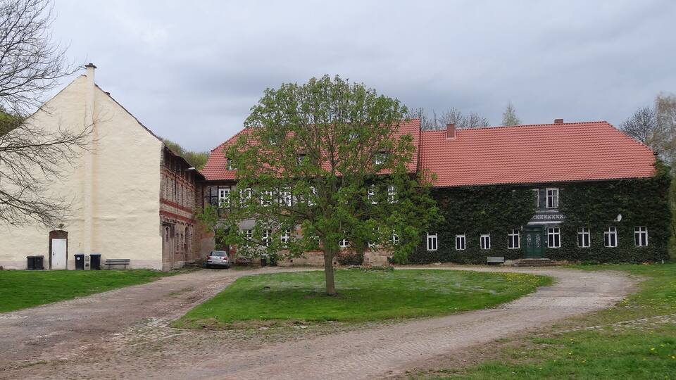 A rural landscape with a dirt path, a small tree, and a building with a red roof.