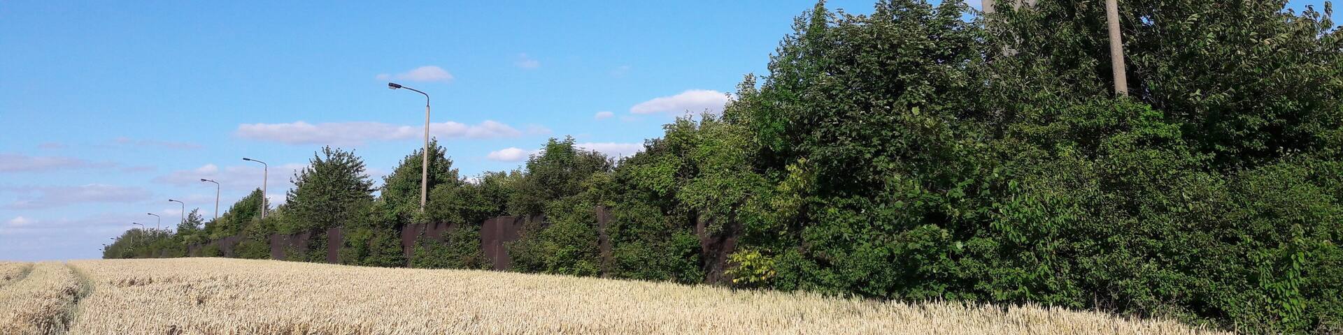 Alter Wachturm auf dem JĂ€gerberg bei Jena, ThĂŒringen